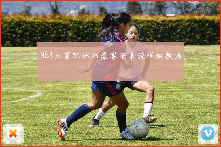 NBA火箭队林书豪赛场表现详细数据