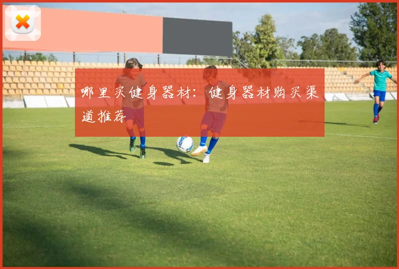 哪里买健身器材:健身器材购买渠道推荐