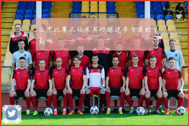 法甲比赛文化及其对球迷参与度的影响