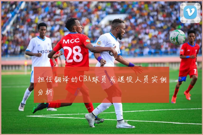 担任翻译的CBA球员或退役人员实例分析