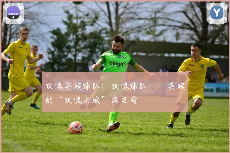 玫瑰英超球队：玫瑰球队——英超的“玫瑰之城”诺里奇