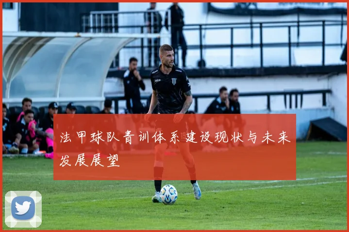 法甲球队青训体系建设现状与未来发展展望