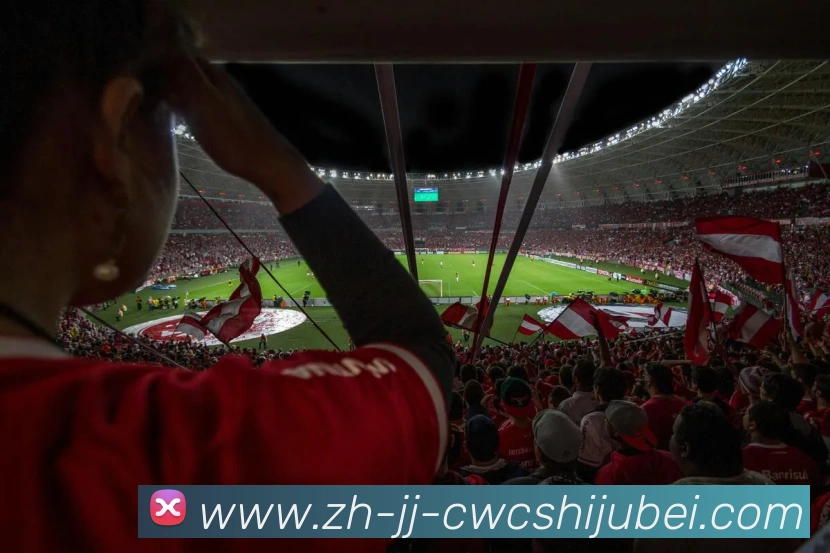奖项证书